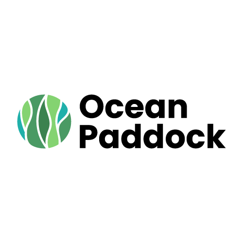 Ocean Paddock